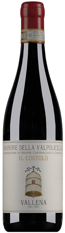 Vallena Amarone della Valpolicella Classico 'Il Costolo' 2017