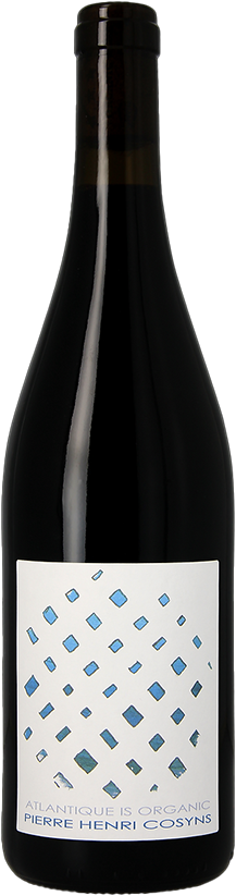 Soepele bordeaux blend, als IGT wijn eigenwijs in een bourgogne fles