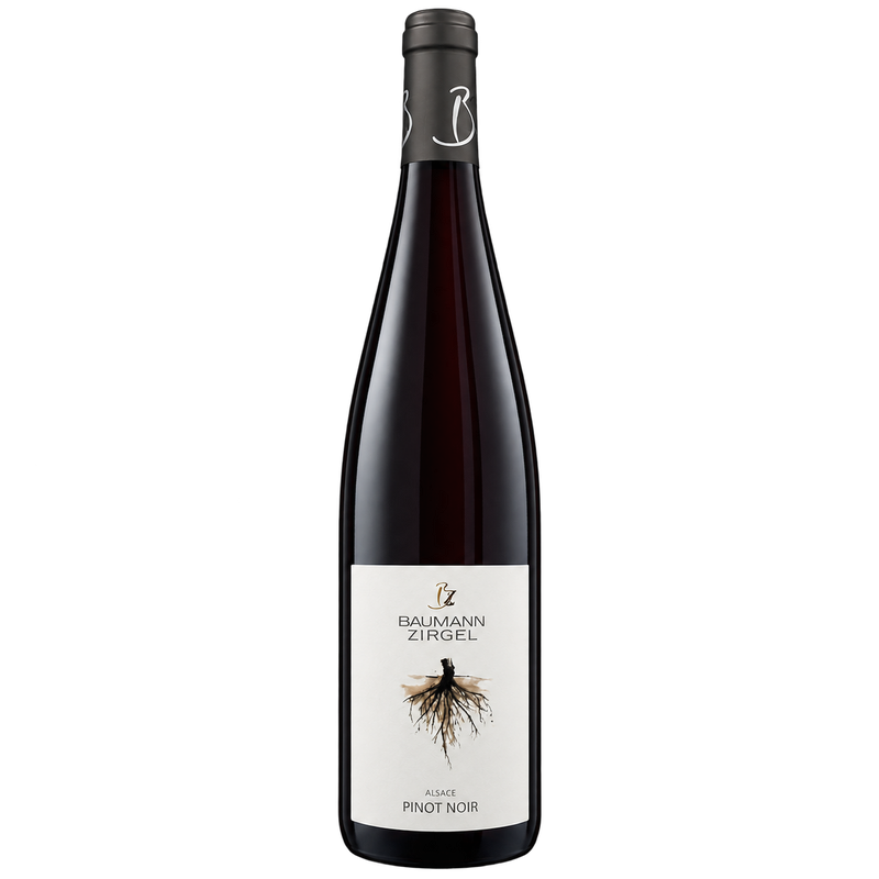 Baumann-Zirgel Pinot Noir 'Racine' BIO