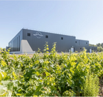 wijnmaker van de cliche chardonnay te koop via avinture.nl