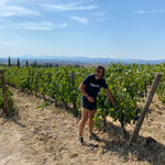 Stefano Amerighi Syrah BIO
