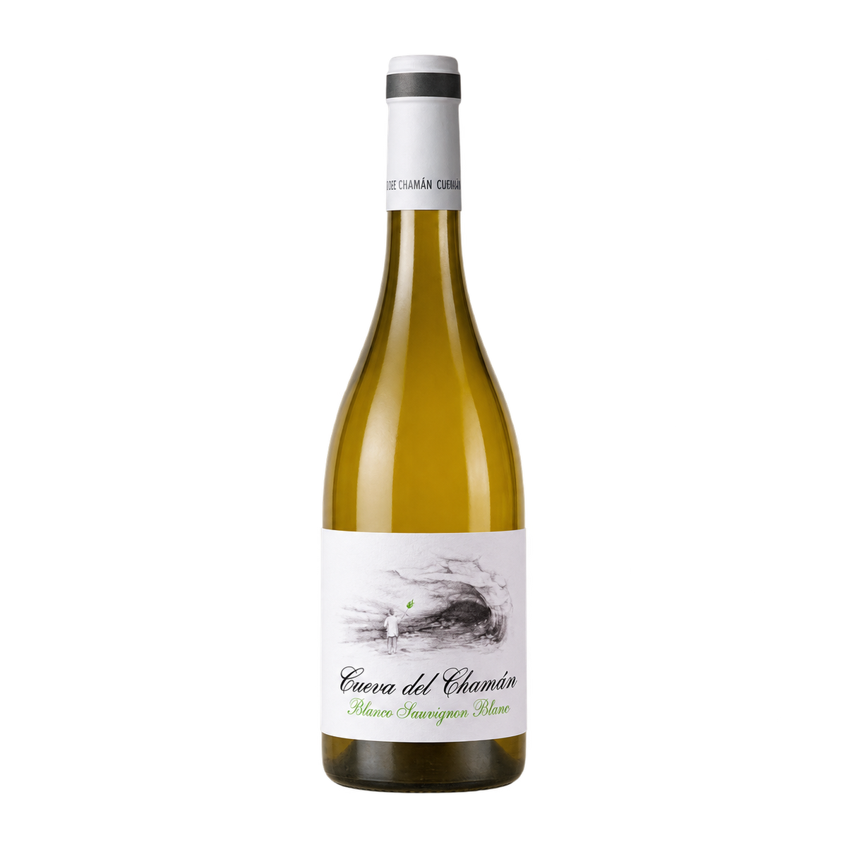 Santa Cruz Cueva del Chamán Sauvignon Blanc Bio