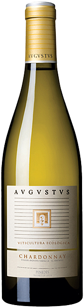 Avgvstvs Chardonnay Bio 2021